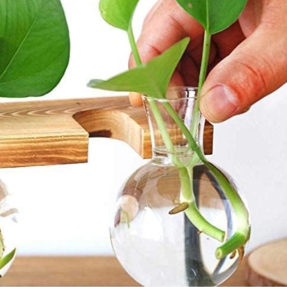 Suction cup rooter, new in the box - Picture 6 of 6